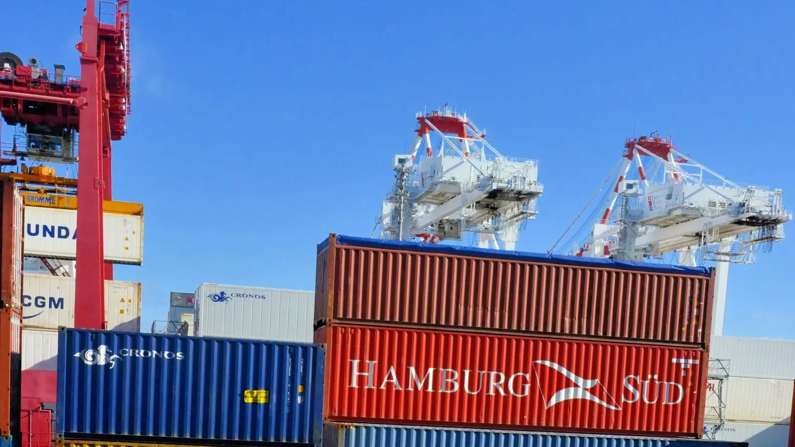 Cargo containers stacked across a shipping terminal under a clear sky